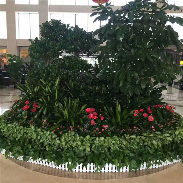 會場綠植租賃