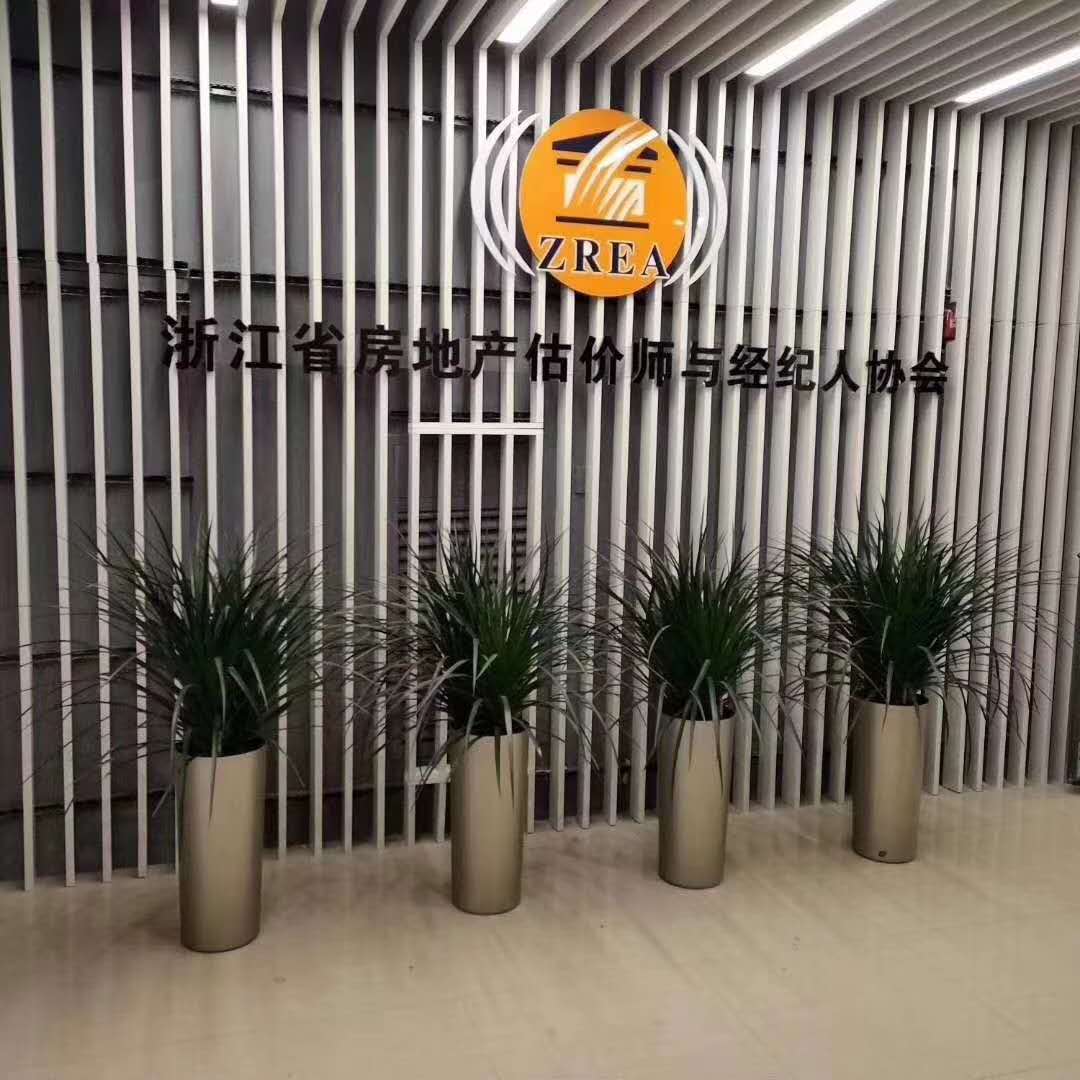 企業樓道擺放效果