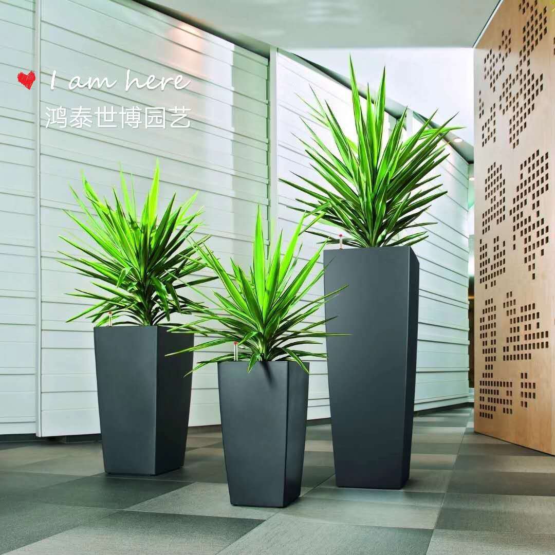 辦公室租擺