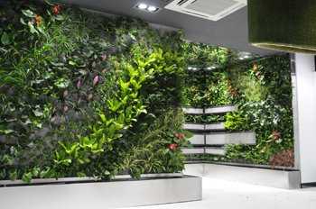 公司植物墻