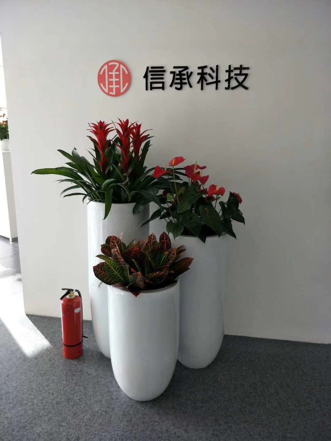 組合盆栽