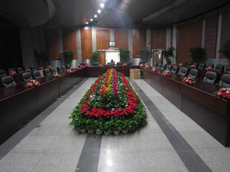 會議內部鮮花
