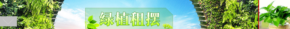 為什么選擇我們
